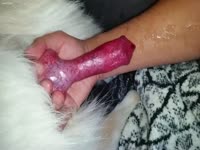 [ Beast Porn ] Guy making his dog cum on his arm